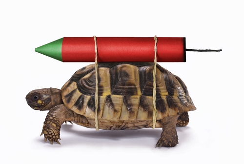 TurtleBlast